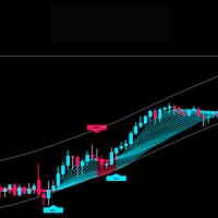 FOREXHUB System