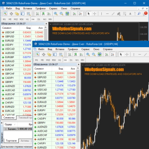 How to install 2 MetaTrader 4 terminals from one broker