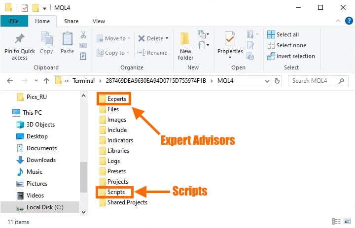 folders of advisors and scripts in mt4