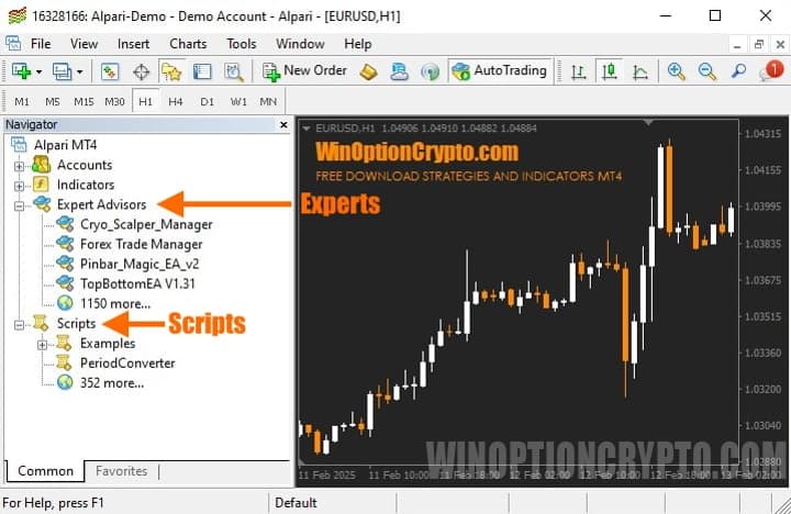 advisors and scripts in mt4