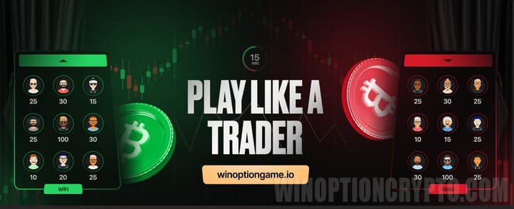 презентация WinOptionGame