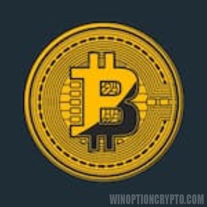 bitcoin logo