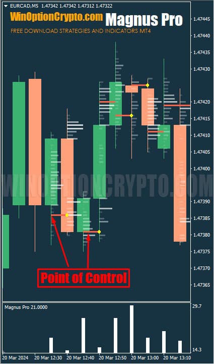 control point in magnus pro