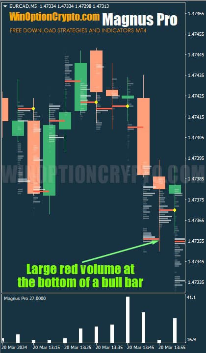 large volume of bullish candle in magnus pro