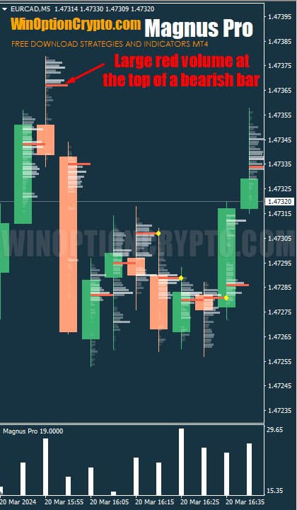 large volume of bearish candle in magnus pro