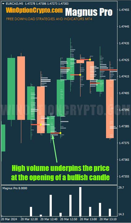 pushing volume on a bullish candle in magnus pro