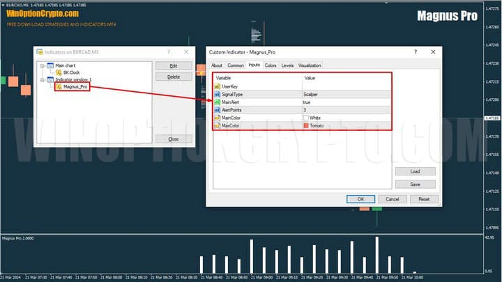 settings in magnus pro