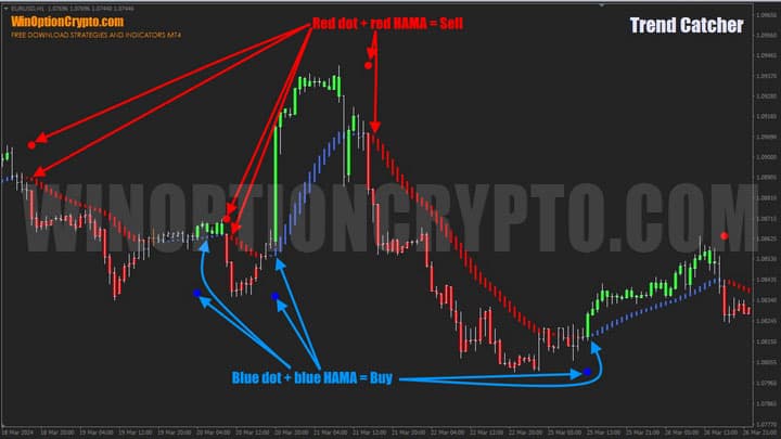 HAMA indicator as a filter in trend catcher