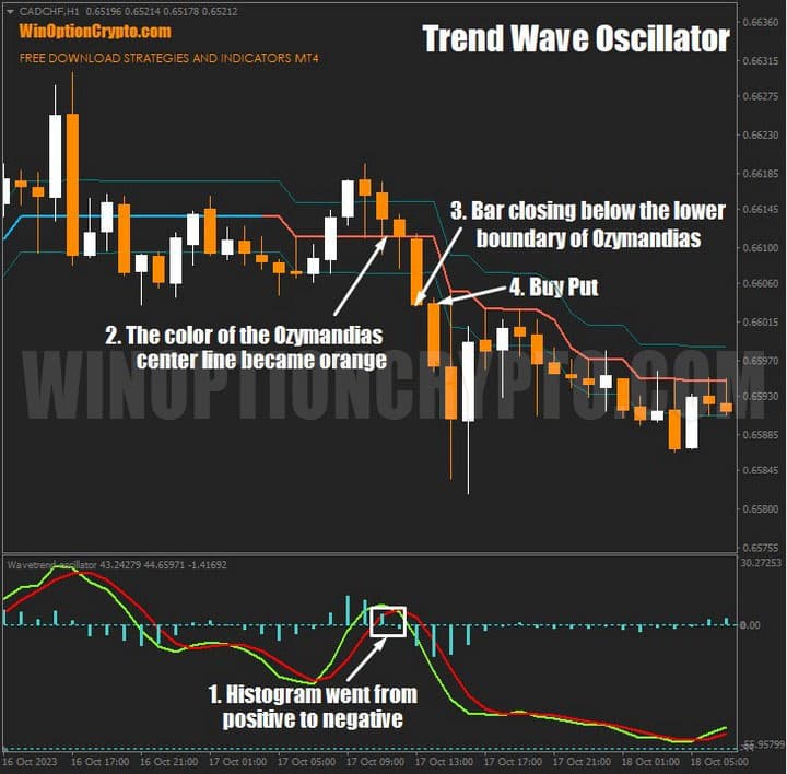 signal to buy a put option with the ozimandias analyzer