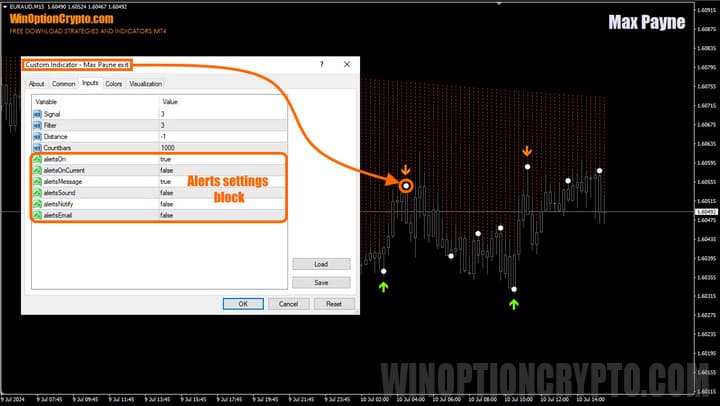 exit indicator settings in max payne