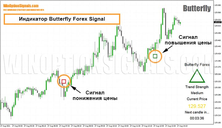 Индикатор Butterfly Forex Signal