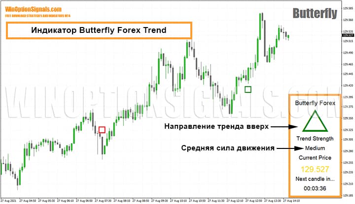 Индикатор Butterfly Forex Trend